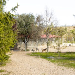 Parques guarderia nariz de nieve