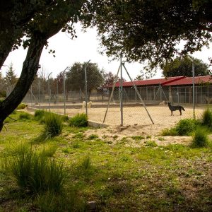 Parques-residencia-bis