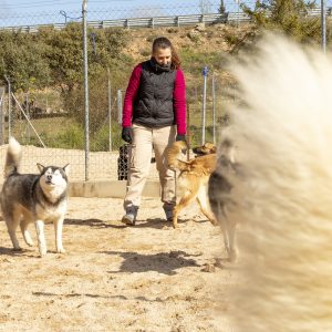 Residencia para perros